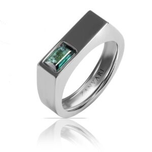 A Stone Of Mistaken Identity — Men's Green Tourmaline Signet Ring in Sterling Silver
