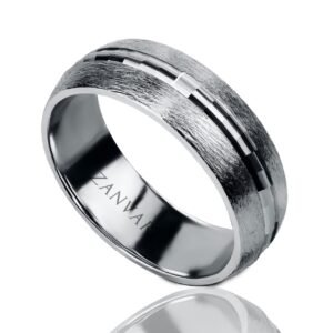 Silver Arc — Men's Sterling Silver (Chandi) Band Ring