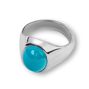 The Charismatic Feroza — Men's 3–4ct Natural Feroza (Turquoise) Silver Ring